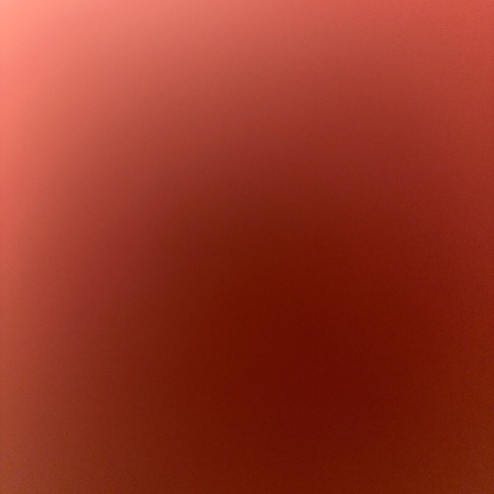 Champion Small Gray Sweater